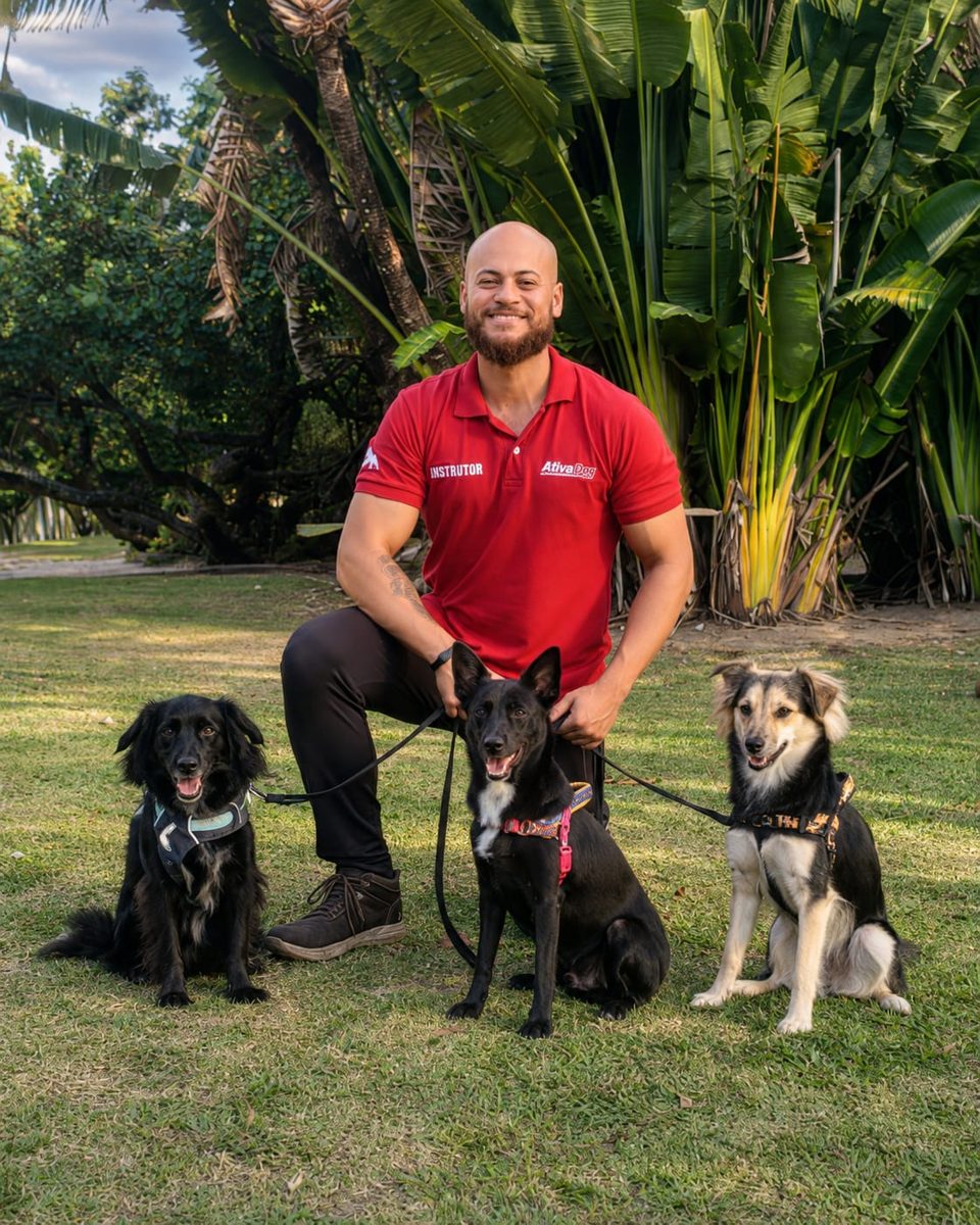Cães prontos para a corrida guiada